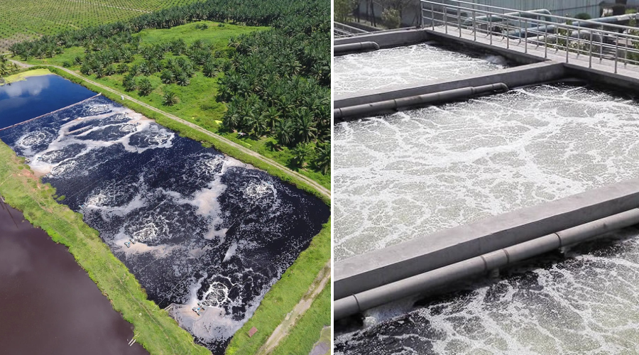 Lagoas de Aeração e Lodos Ativados