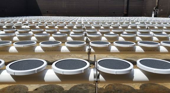 Difusores tipo bolha fina 