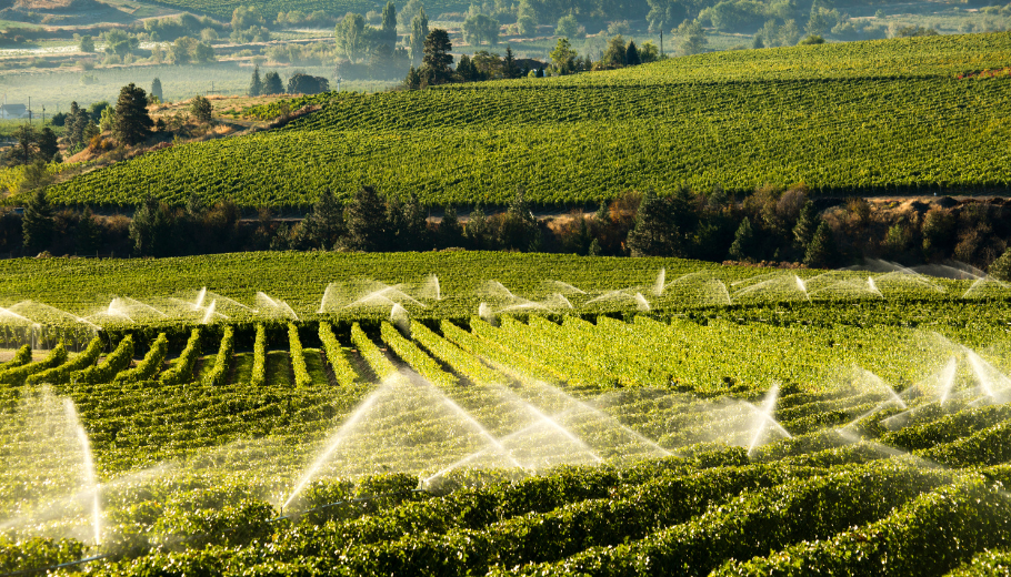 Fertirrigação com efluentes tratados em indústrias