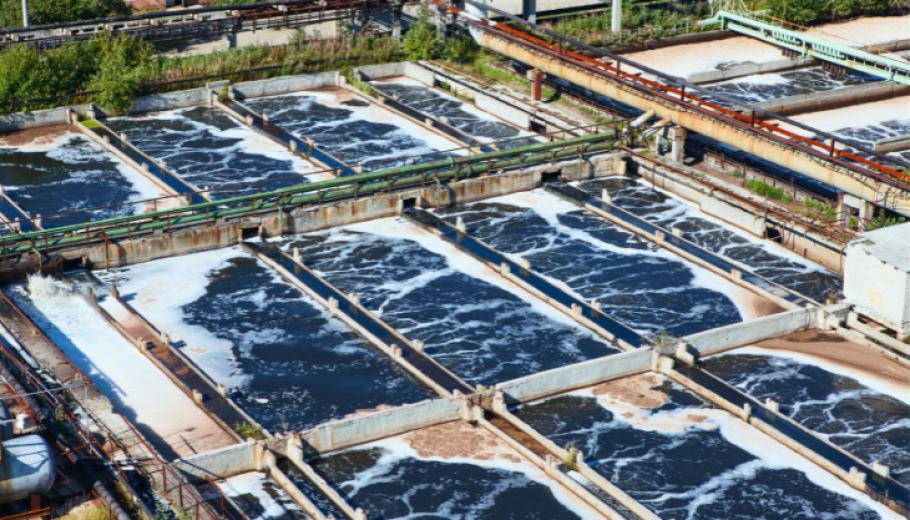 Tratamento Biologico